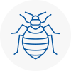 Bed Bug Extermination In Smallburgh