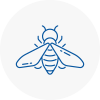 Bee Nest Removal Smallburgh