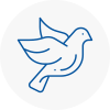 Bird Prevention Smallburgh
