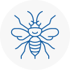 Smallburgh Hornet Nest Removals