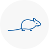 Mice Exterminators In Smallburgh