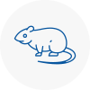 Rat Control Smallburgh