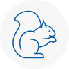 Smallburgh Rodent Removals