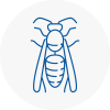 Smallburgh Wasp Nest Removal